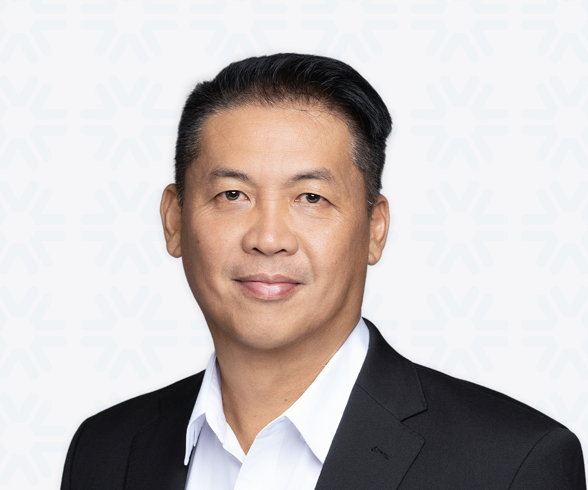 Professor Ts. Dr. Rayner Alfred